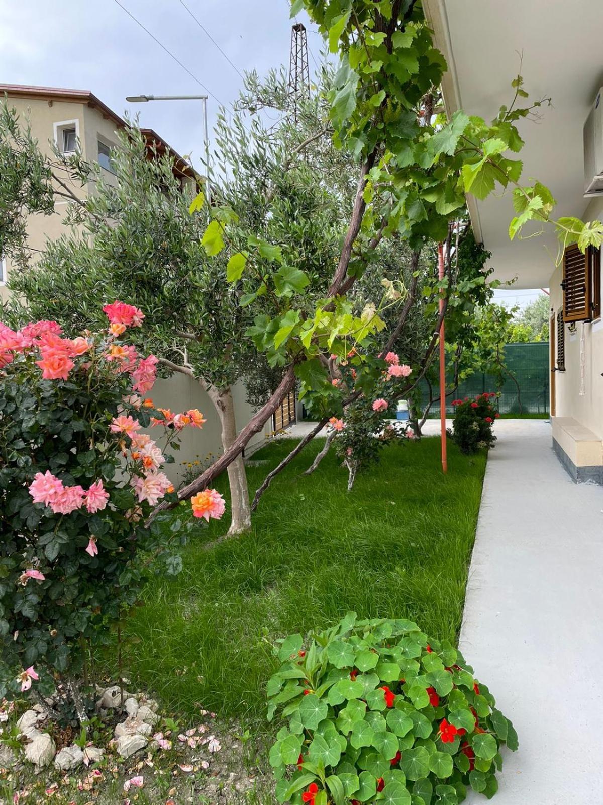 Blossom Apartments Влёра Экстерьер фото